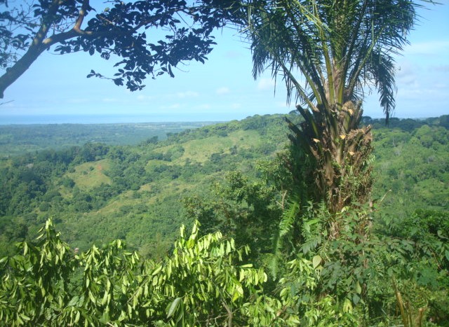 Costa Rica Land, Lots and Farms For Sale.